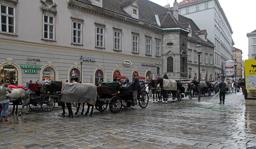 Carriages North of Cathedral